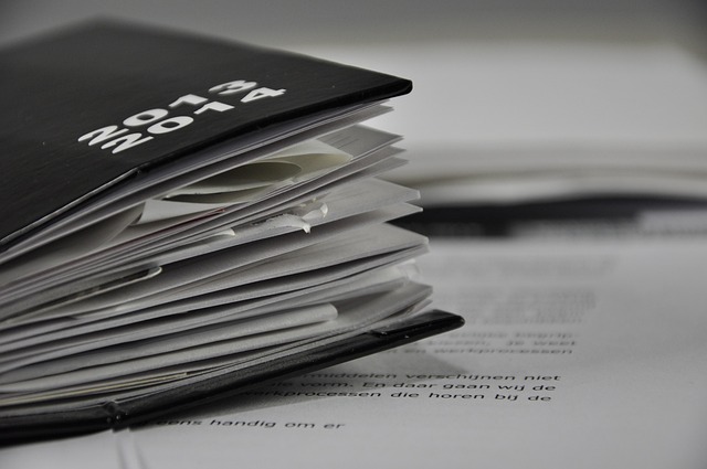 szkic plan ogrodu strefy funkcjonalne